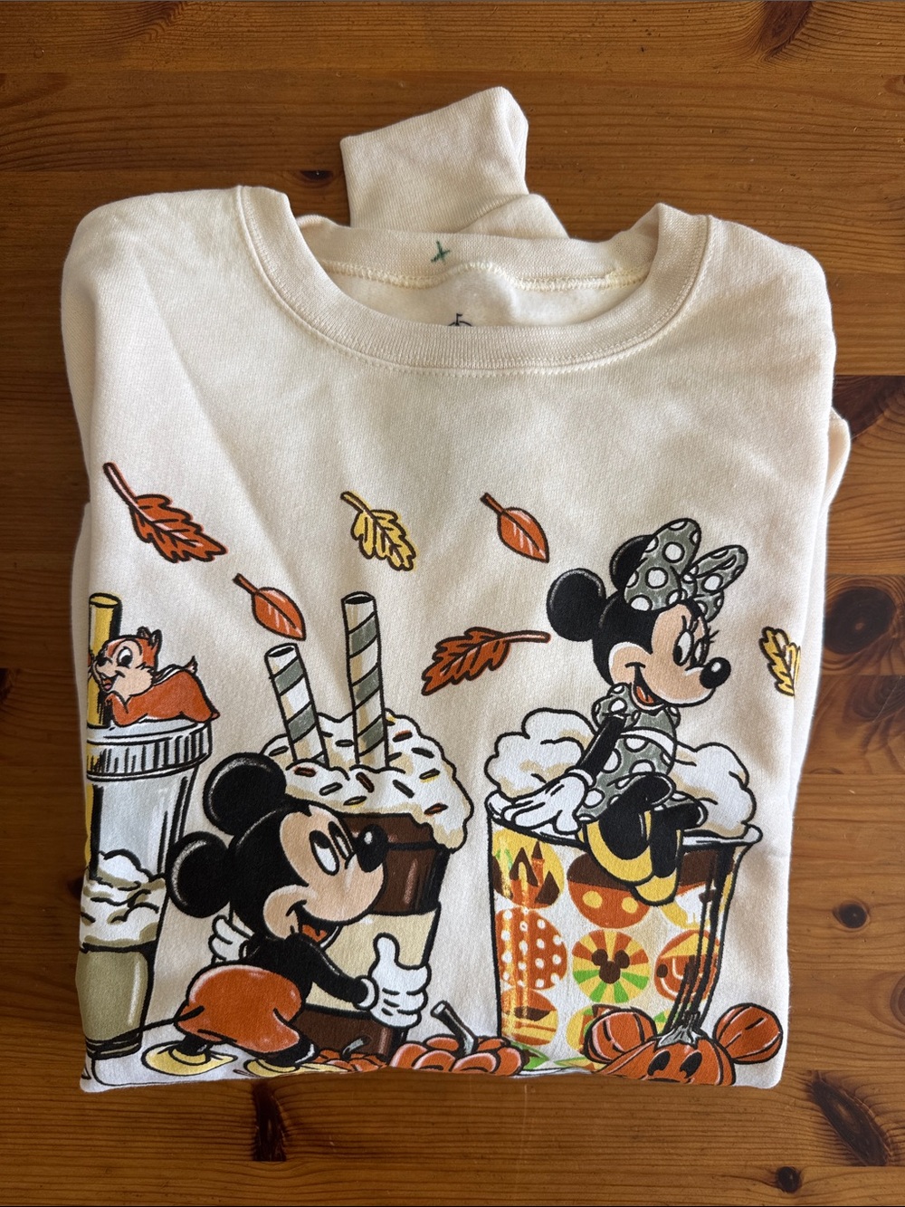 Disney Disneyland Resort Pumpkin Spice & Everything Nice Crewneck Sweatshirt - Picture 16 of 16